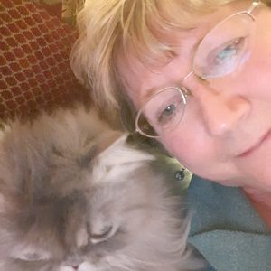 Meet your Posher, Elaine